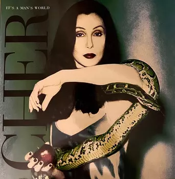 Пластинка Cher