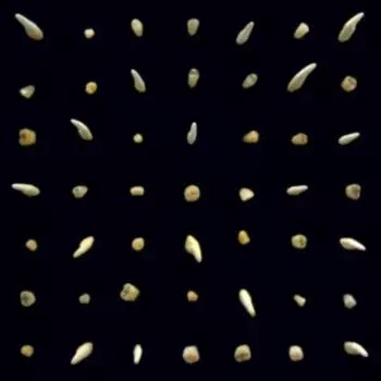 Пластинка Clipping.