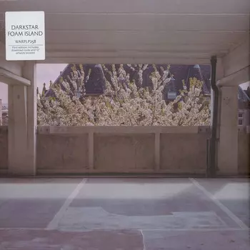 Пластинка Darkstar