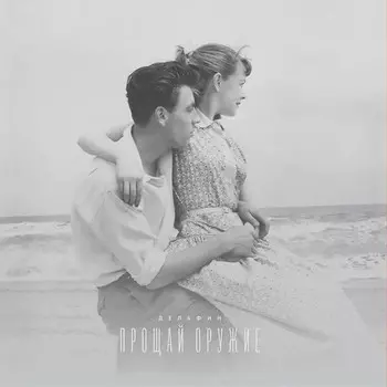 Пластинка Дельфин