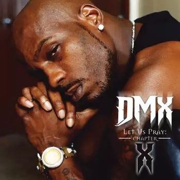 Пластинка DMX
