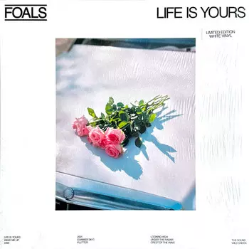Пластинка Foals
