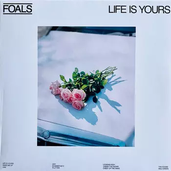 Пластинка Foals