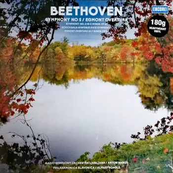 Пластинка Ludwig van Beethoven