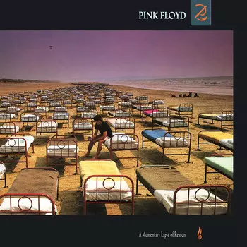 Пластинка Pink Floyd