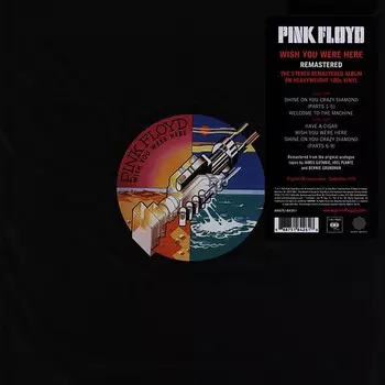 Пластинка Pink Floyd