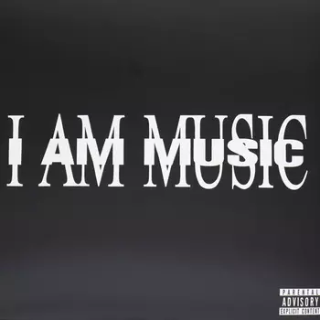 Пластинка Polydor Records