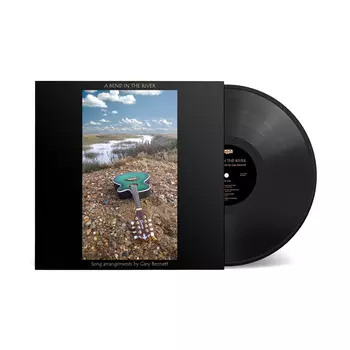 Пластинка Rega