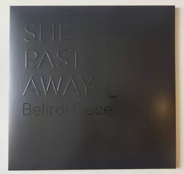 Пластинка She Past Away
