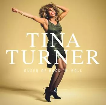 Пластинка Tina Turner