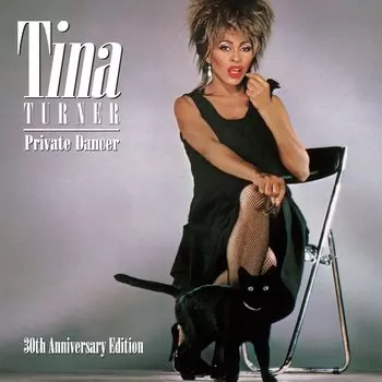 Пластинка Tina Turner