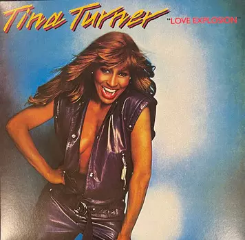 Пластинка Tina Turner