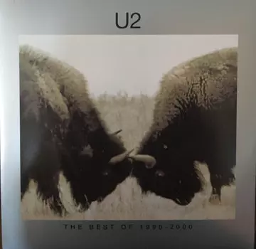 Пластинка U2