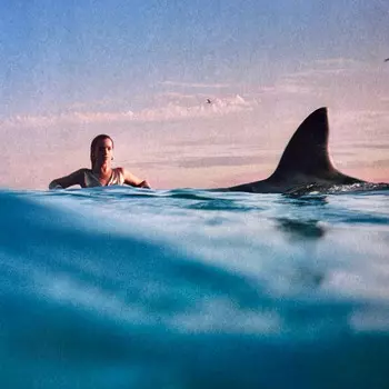 Пластинка Warner Music