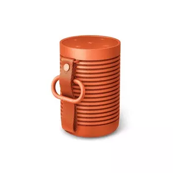 Портативная колонка Bang & Olufsen