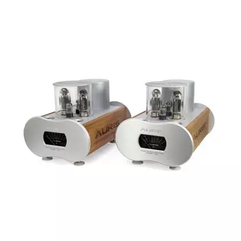 Усилитель мощности Auris