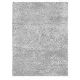 Ковер Canyon Silver (200 x 300)