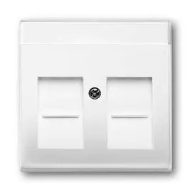 Лицевая панель ABB Basic55 розетки информационной с полем для надписи альпийский белый 2CKA001710A3945