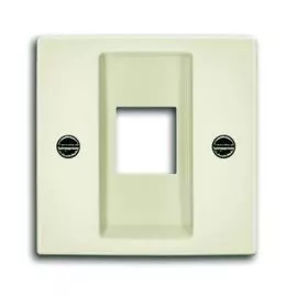 Лицевая панель ABB Basic55 розетки информационной слоновая кость 2CKA001753A0211