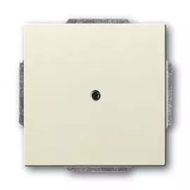 Лицевая панель ABB Basic55 заглушка слоновая кость 2CKA001715A0313