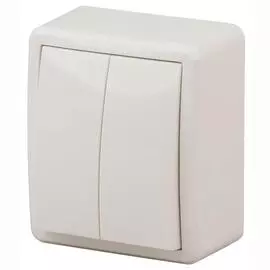 Переключатель двухклавишный ЭРА Эксперт 10AX 250V 11-1204-02 Б0020664