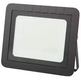 Прожектор ЭРА 150W LPR-021-0-65K-150 Б0043567