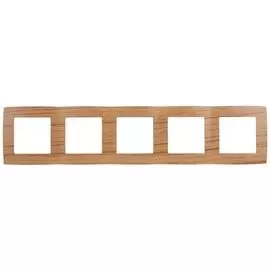 Рамка 5-постовая ЭРА 12 12-5005-09 Б0014789