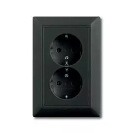 Розетка двойная ABB Basic55 Schuko с/з 16A 250V безвинтовой зажим chateau-черный 2CKA002014A1477
