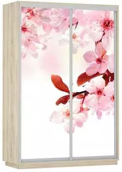 Шкаф Экспресс Фото дуо "Сакура" (120 x 220)
