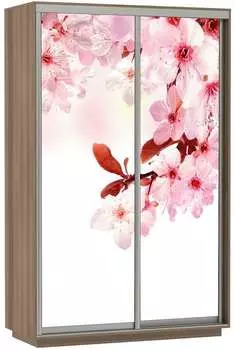 Шкаф Экспресс Фото дуо "Сакура" (140 x 240)