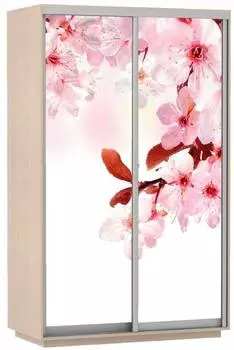 Шкаф Экспресс Фото дуо "Сакура" (160 x 240)