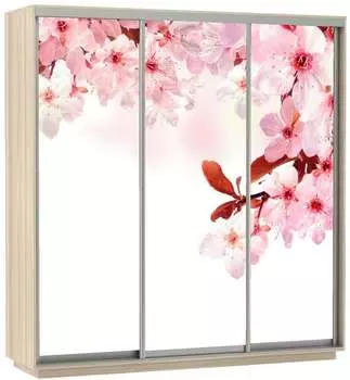 Шкаф Экспресс Фото трио "Сакура" (210 x 240)