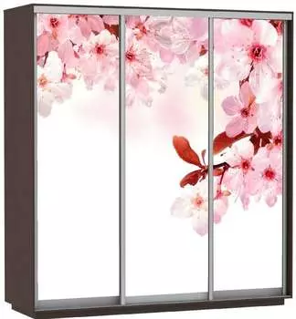 Шкаф Экспресс Фото трио "Сакура" (240 x 220)