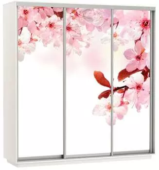 Шкаф Экспресс Фото трио "Сакура" (240 x 240)