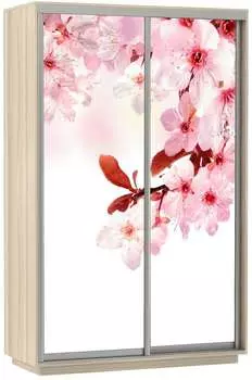 Шкаф Экспресс Хит Фото