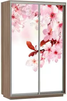 Шкаф Экспресс Хит Фото