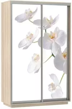 Шкаф Экспресс Хит Фото