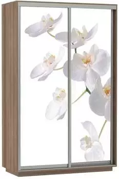 Шкаф Экспресс Хит Фото