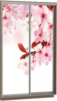 Шкаф Экспресс Хит Фото