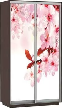 Шкаф Экспресс Хит Фото