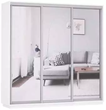 Шкаф Экспресс Экспенс трио (240 x 220)