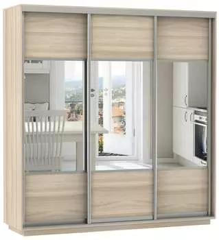 Шкаф Экспресс Комби трио (210 x 220)