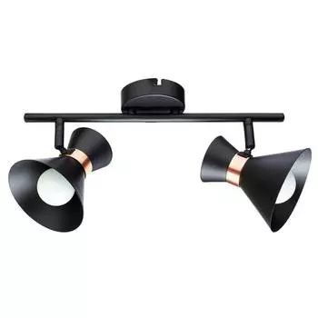 Спот Arte Lamp Baltimore A1406AP-2BK