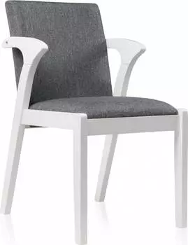 Стул-кресло Artis