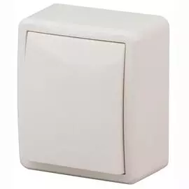 Выключатель одноклавишный ЭРА Эксперт 10AX 250V 11-1201-02 Б0020655