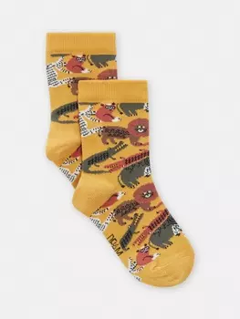 Носки для мальчика