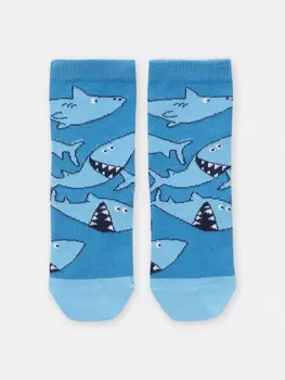 Носки для мальчика