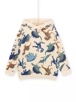 Толстовка для мальчика