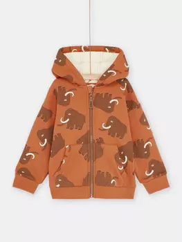 Толстовка на молнии для мальчика