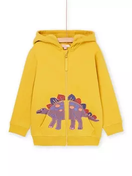 Толстовка на молнии для мальчика